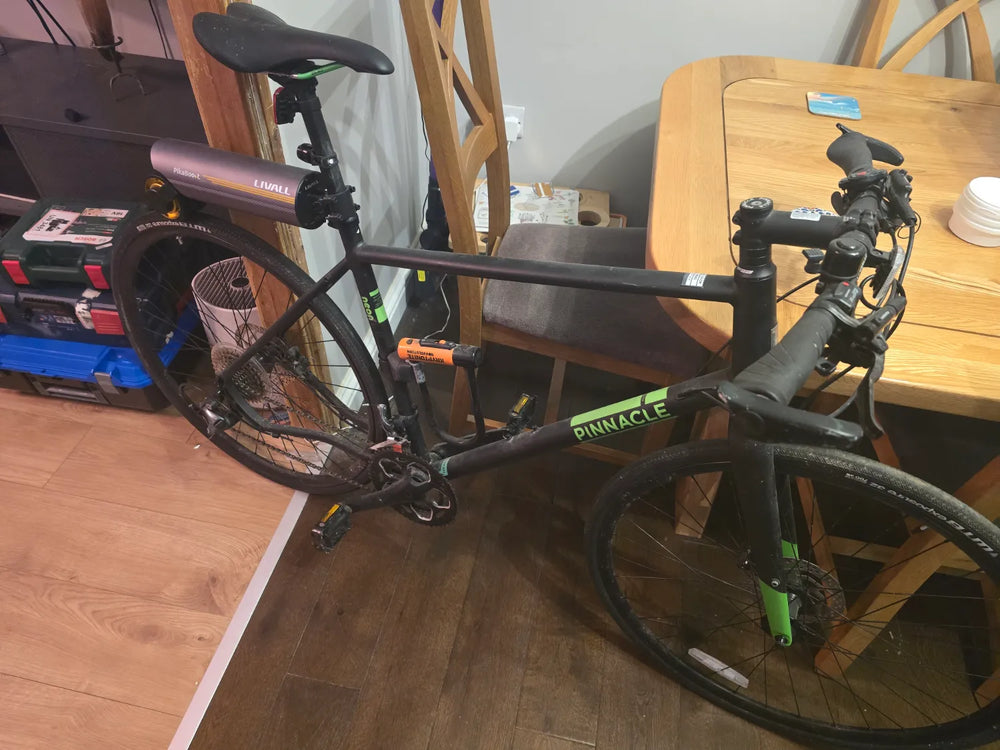 Pinnacle Neon 4 2020