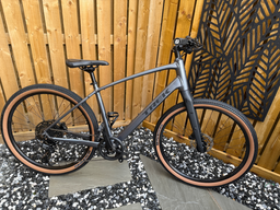 Trek Dual Sport 3 Gen 5 2024