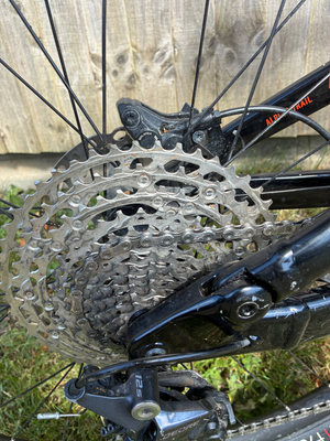 Marin Alpine Trail 7 2021