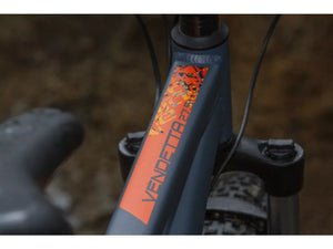 Carrera Vengeance Trail 2026