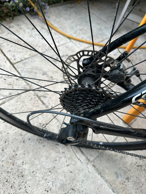 Cannondale Synapse