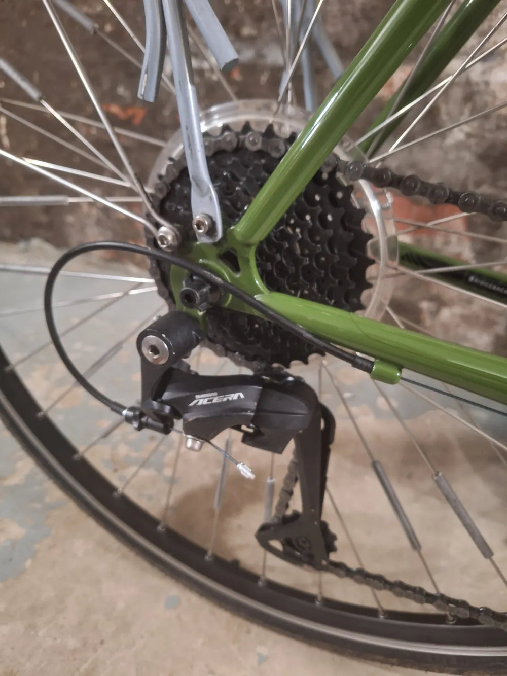 Ridgeback Voyage 2021