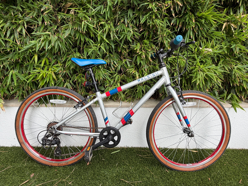 Raleigh Pop 24 2022