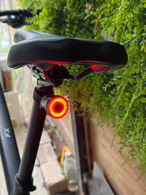 Trek Fx