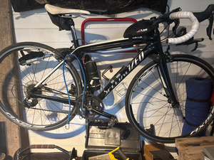 Specialized Amira Sport 2016
