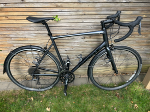 Giant Contend 2 2023