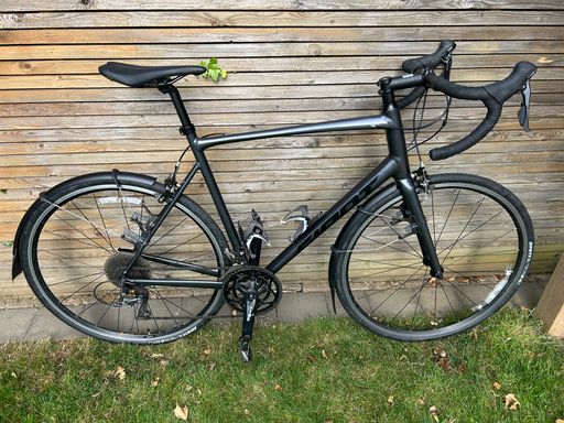 Giant Contend 2 2023