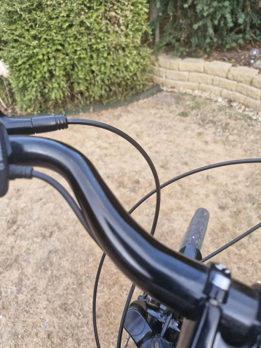 Trek Verve+ 1 300wh 2019