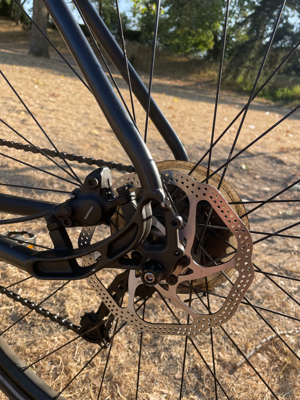Pinnacle Cobalt 2 2020