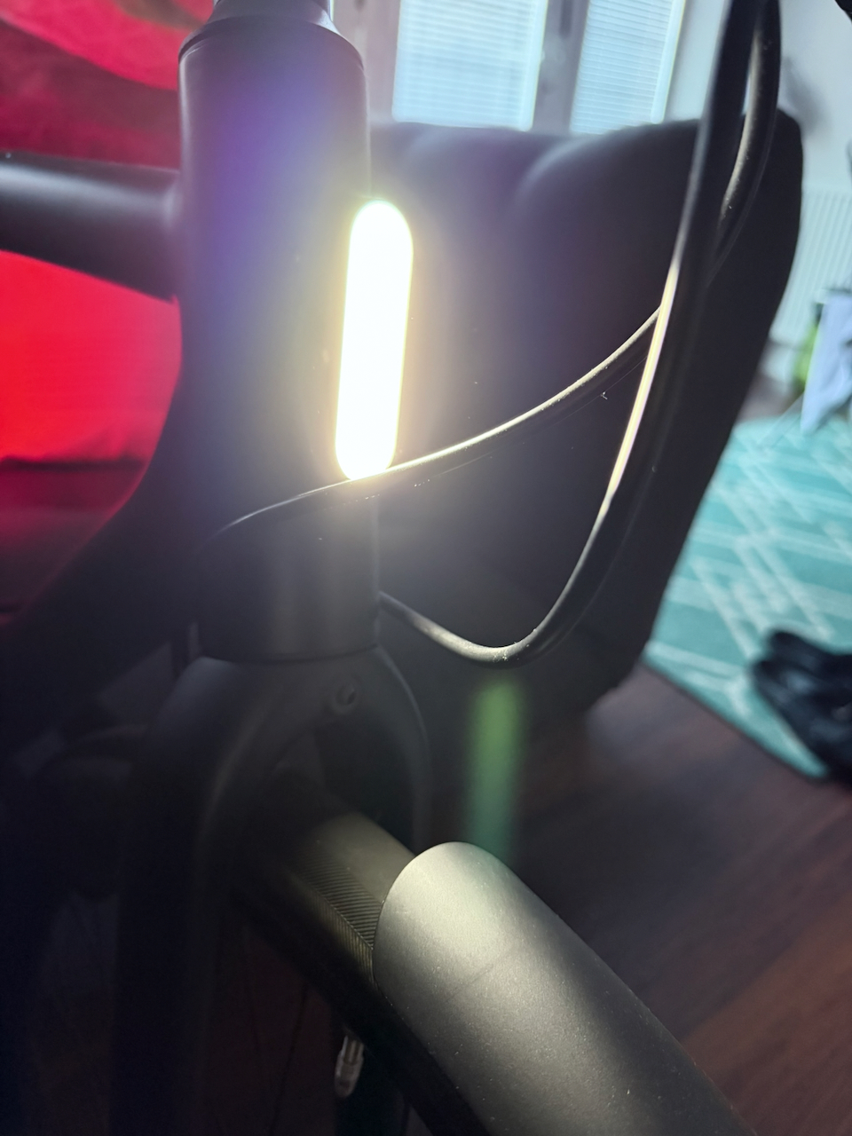 Cowboy Cowboy 2 2020