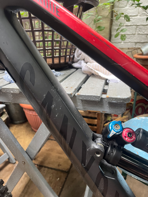Canyon Torque CF 8.0 2019