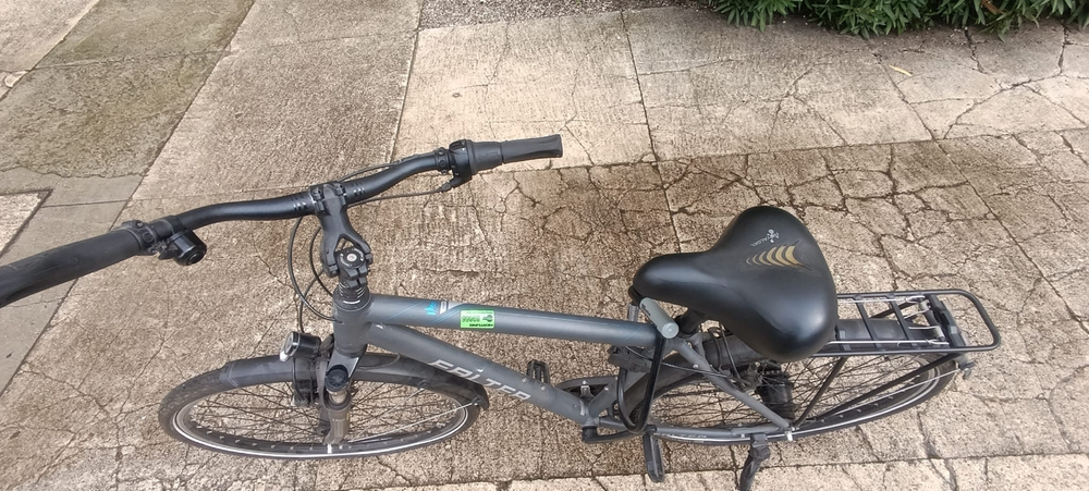 Falter C 4.0 Plus 2020 heavy duty bike’