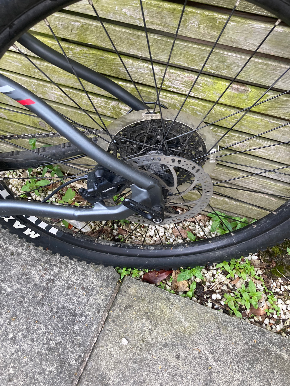 Whyte 901 2019