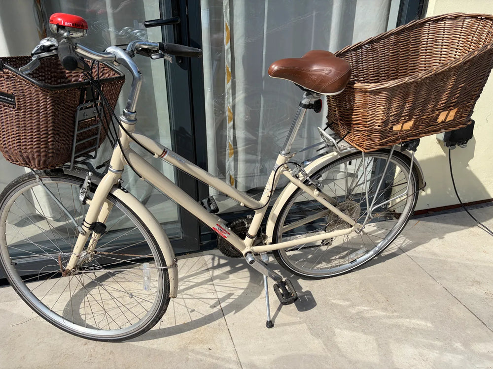 Trek Allant 2019