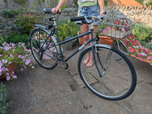 Handsome Cycles She Devil 2018