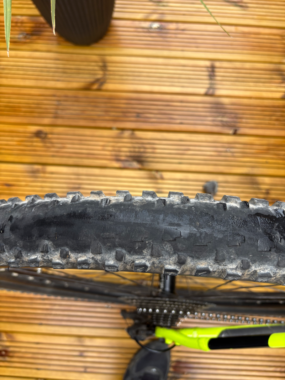 Trek Powerfly 5 2020