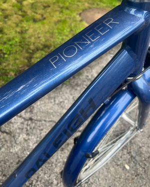 Raleigh Pioneer 2020