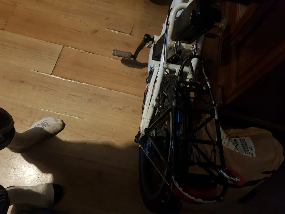 VoltBike Elegant 2019