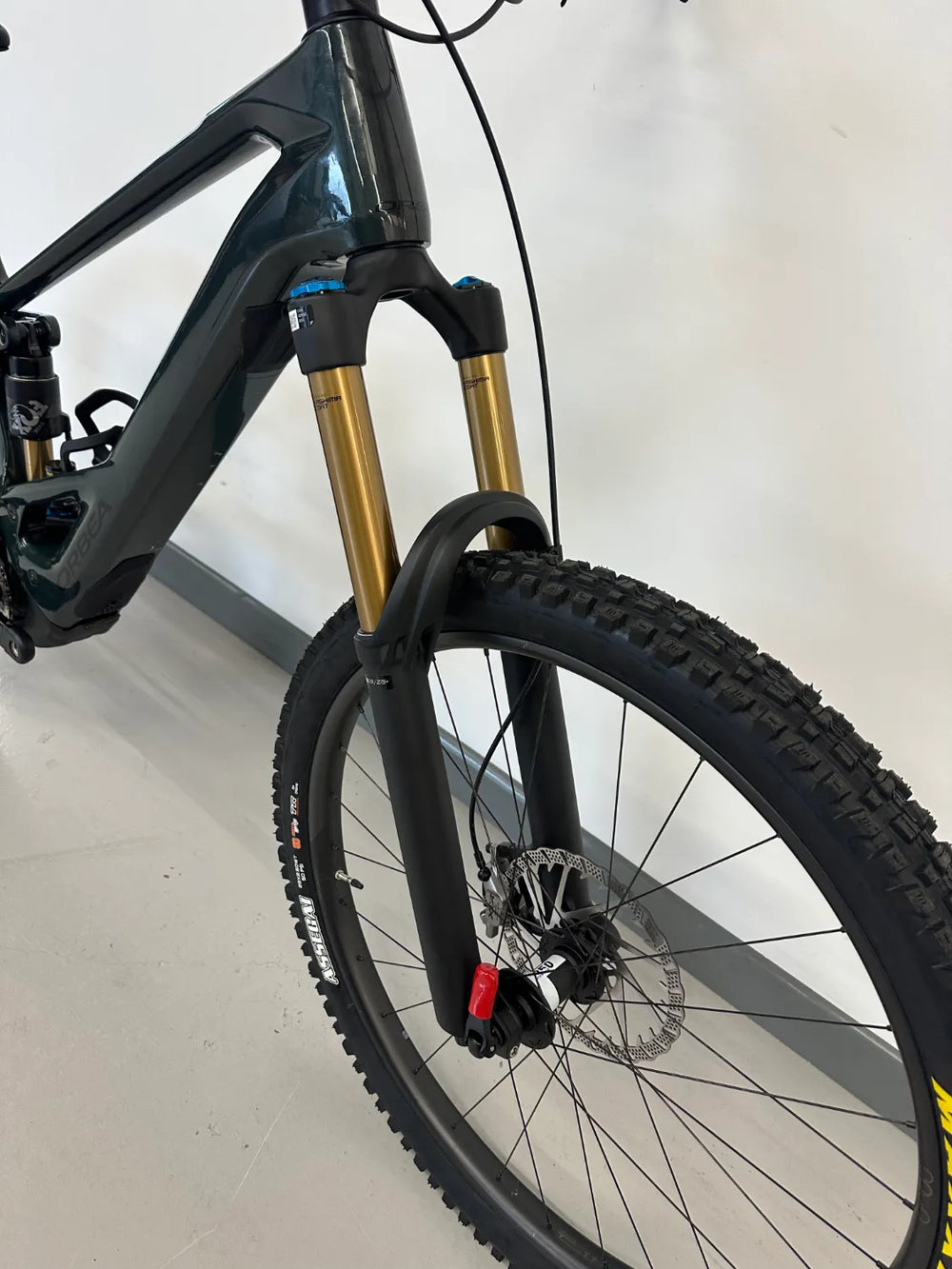 Orbea Wild M-ltd 2025