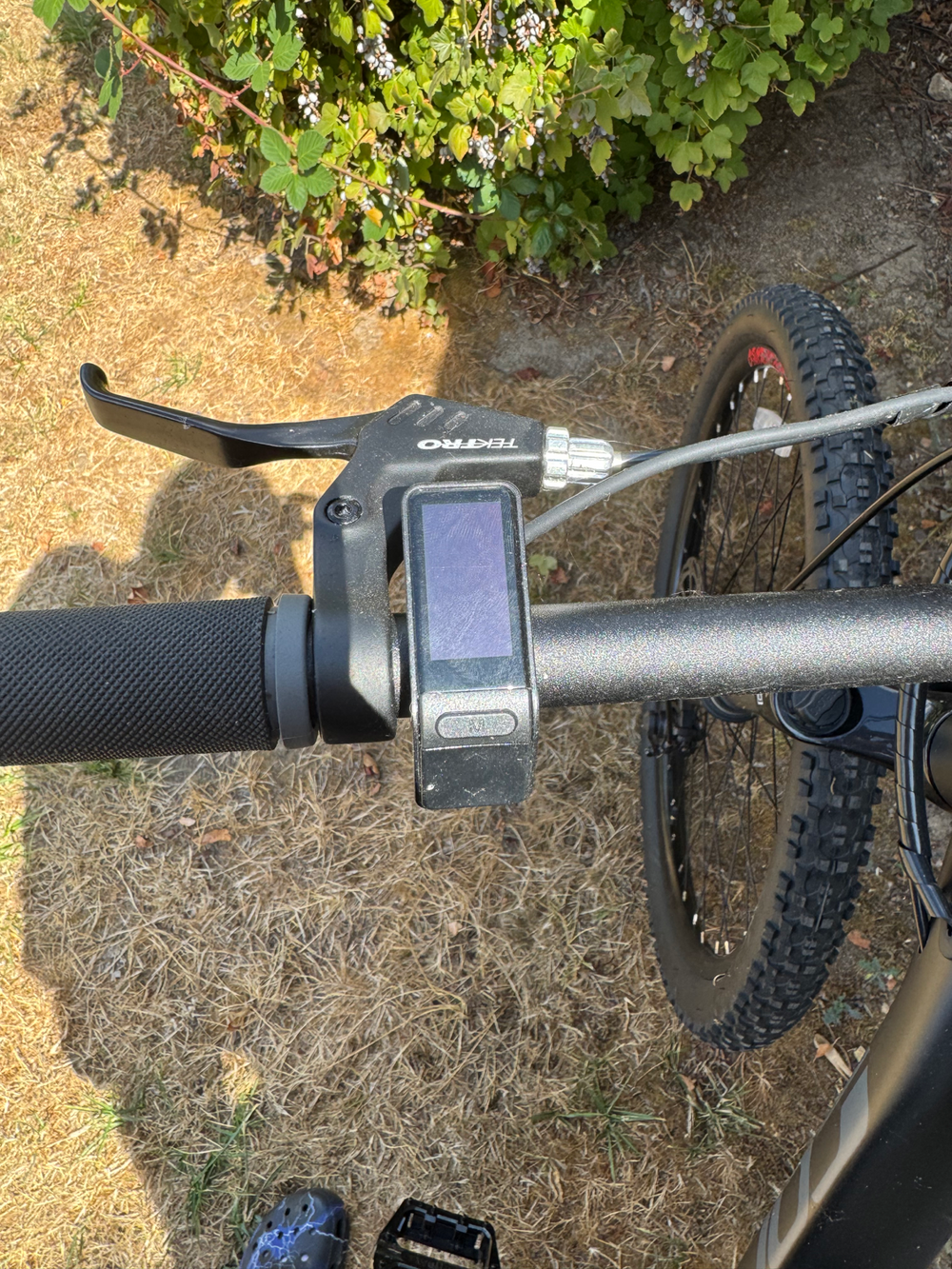 Carrera Vengeance-E Pro 2025