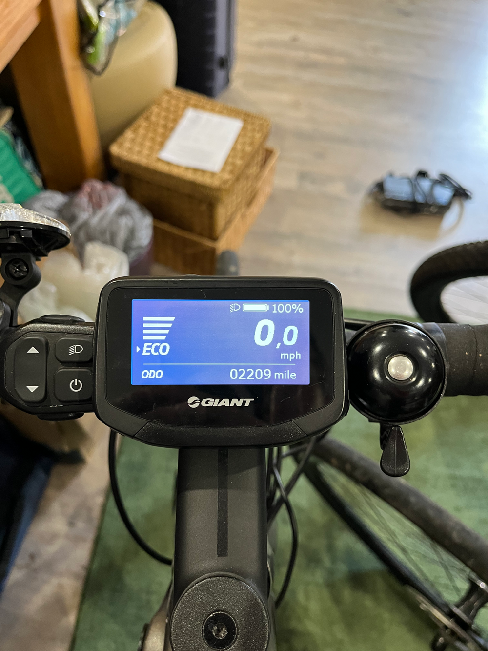 Giant E+2 Pro 2020