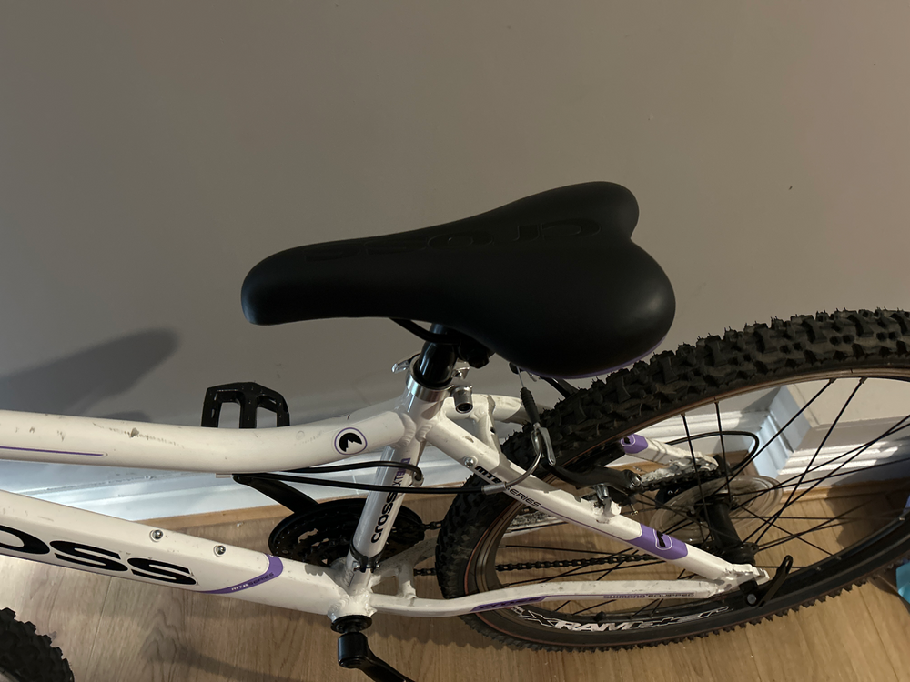 Cross  LXT300 2020