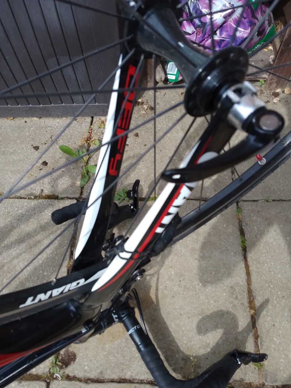 Giant TCR advanced 2 2015