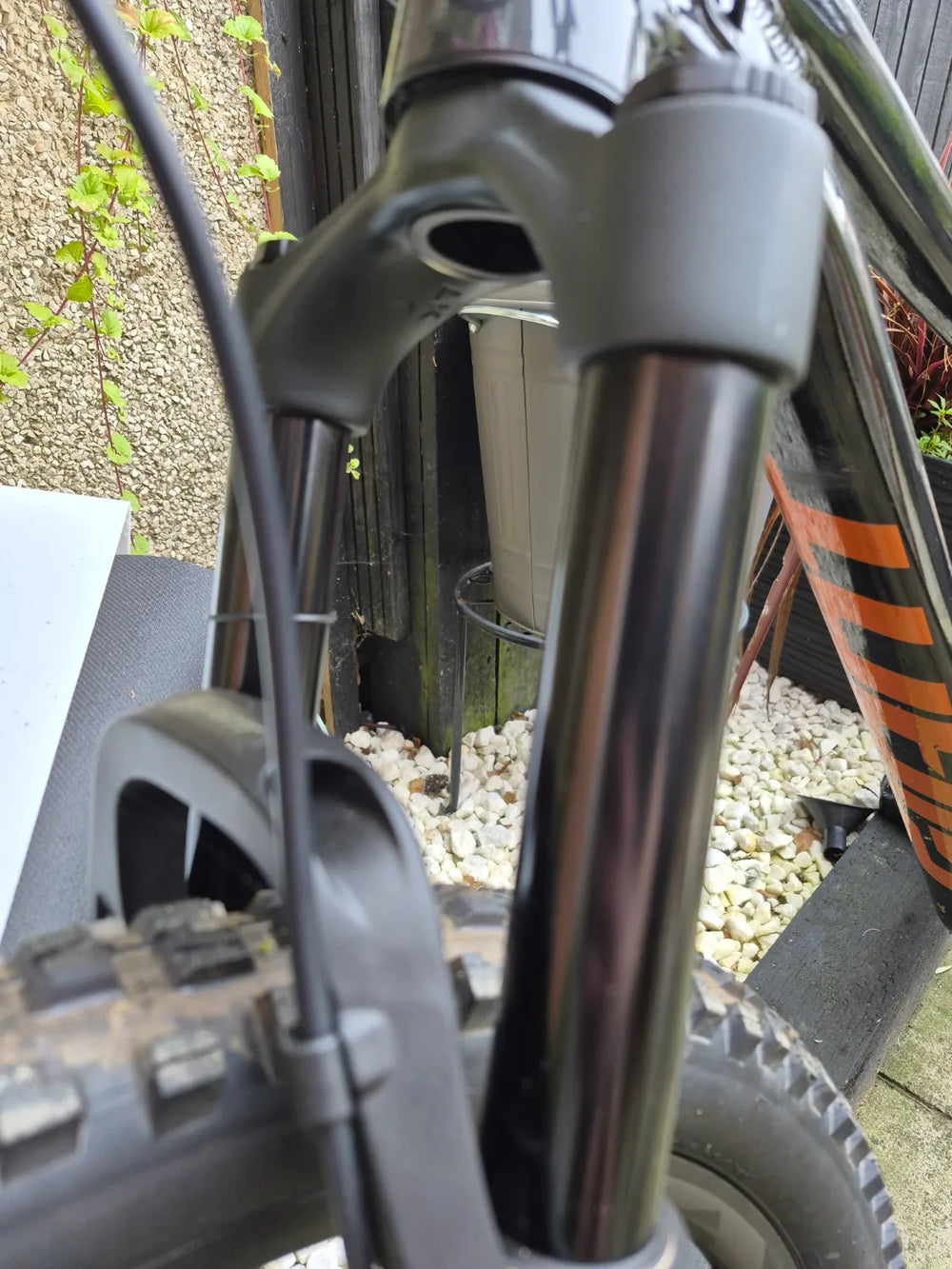 Giant Stance 2024