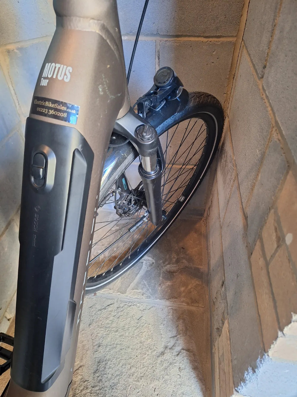 Raleigh Detour 2025