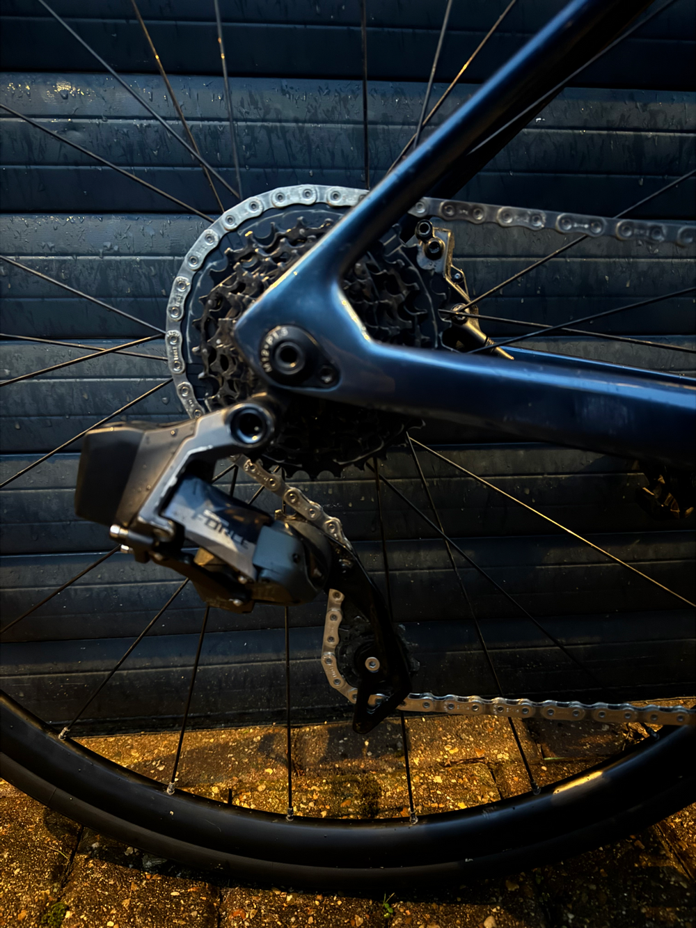 Vitus Vitesse EVO CR eTap AXS 2022
