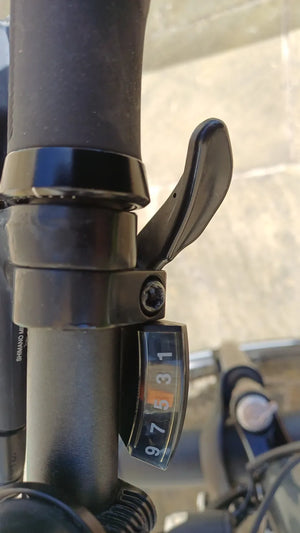 Trek Allant+ 5 2021