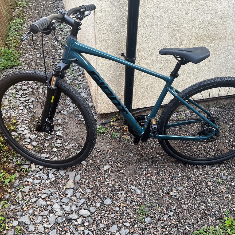 Giant Roam 0 Disc 2020