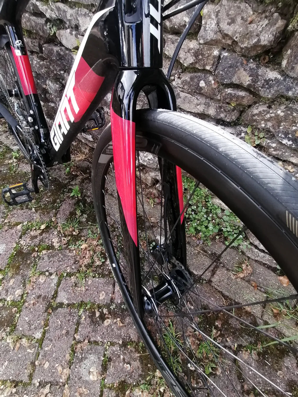Giant Fastroad 2 2019