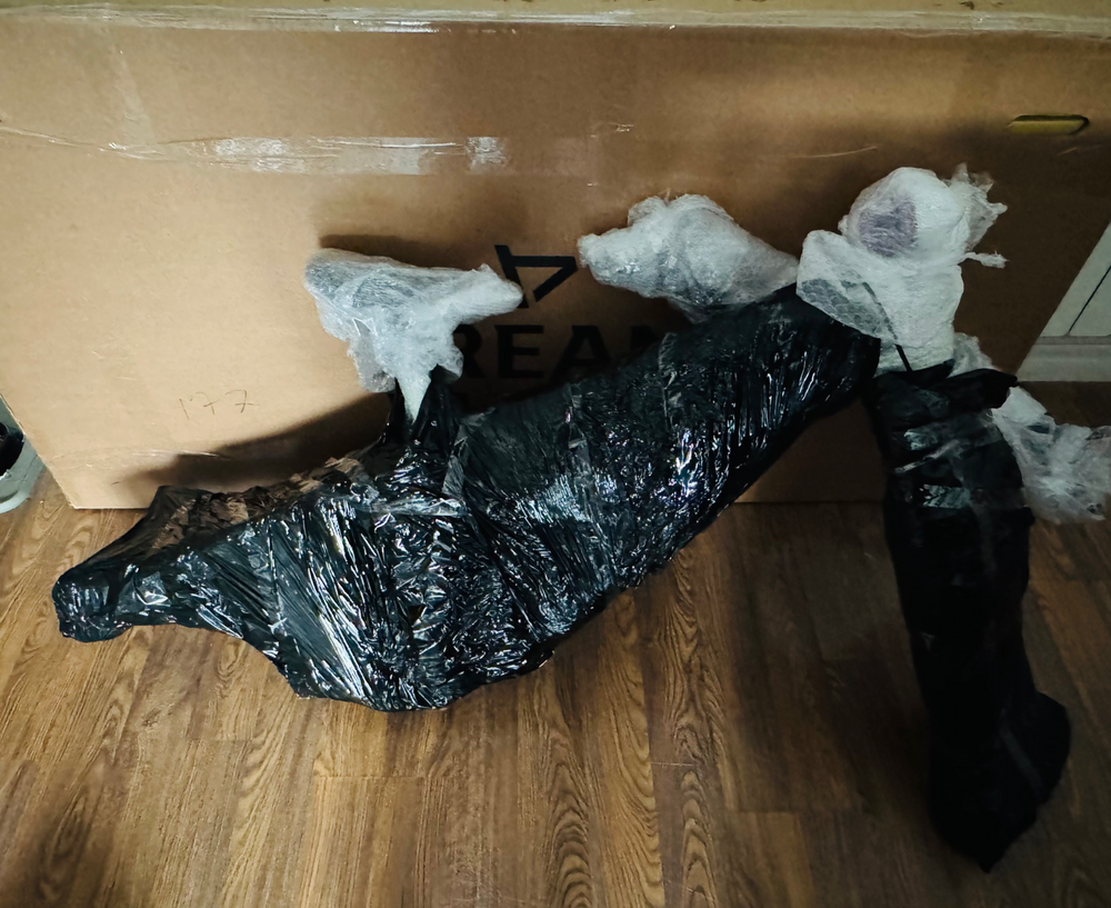 Transition  Sentinel  2025