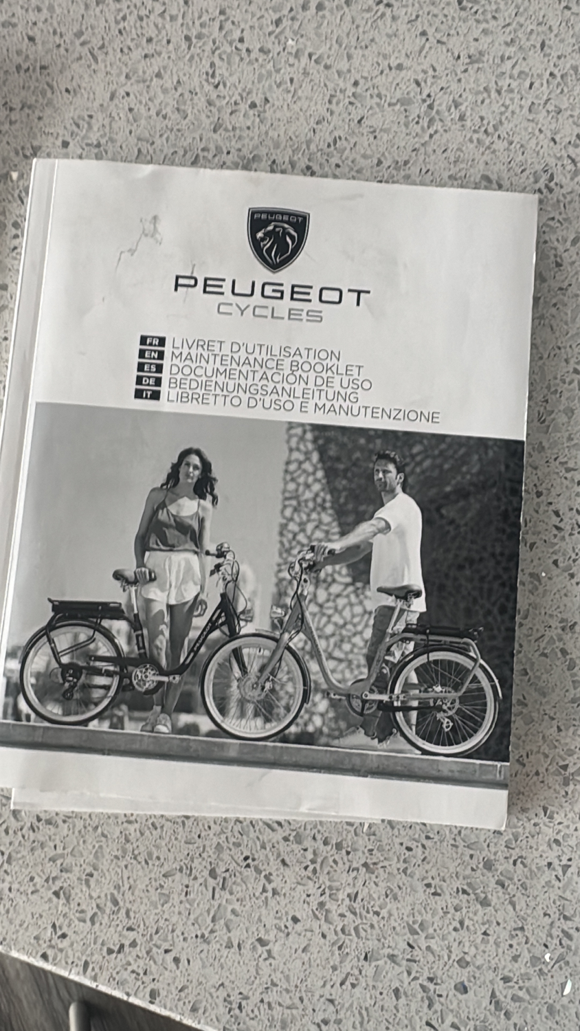 Peugeot eR02 FlatBar PowerTube 2023