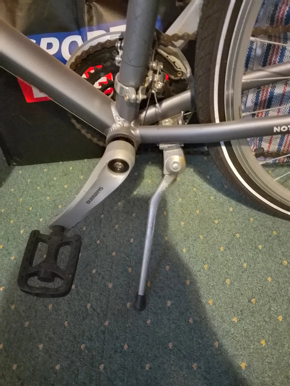 Raligh Pioneer  2024