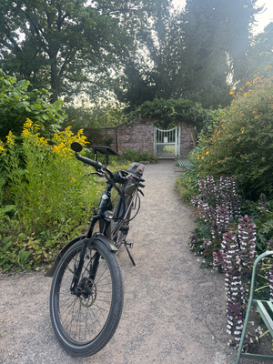 Riese and Muller Homage GT Vario 2019