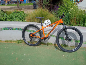 Giant Talon 2 - 29 Wheel - Pure 2025