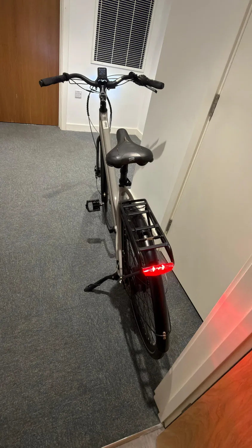 Peddle Step 2024