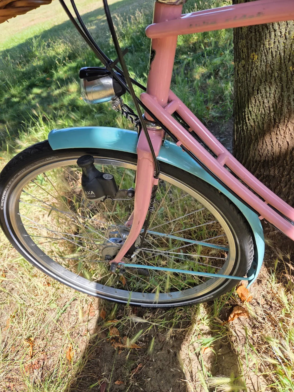 Pashley Parabike 2020