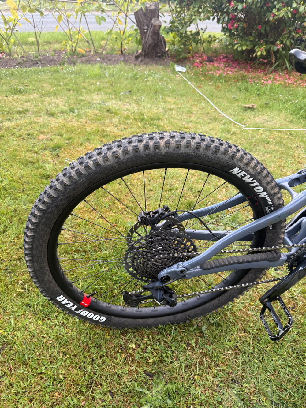 Marin Rift Zone XR 27.5 2025