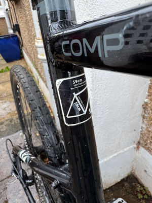 Raleigh Mustang E Comp 2019