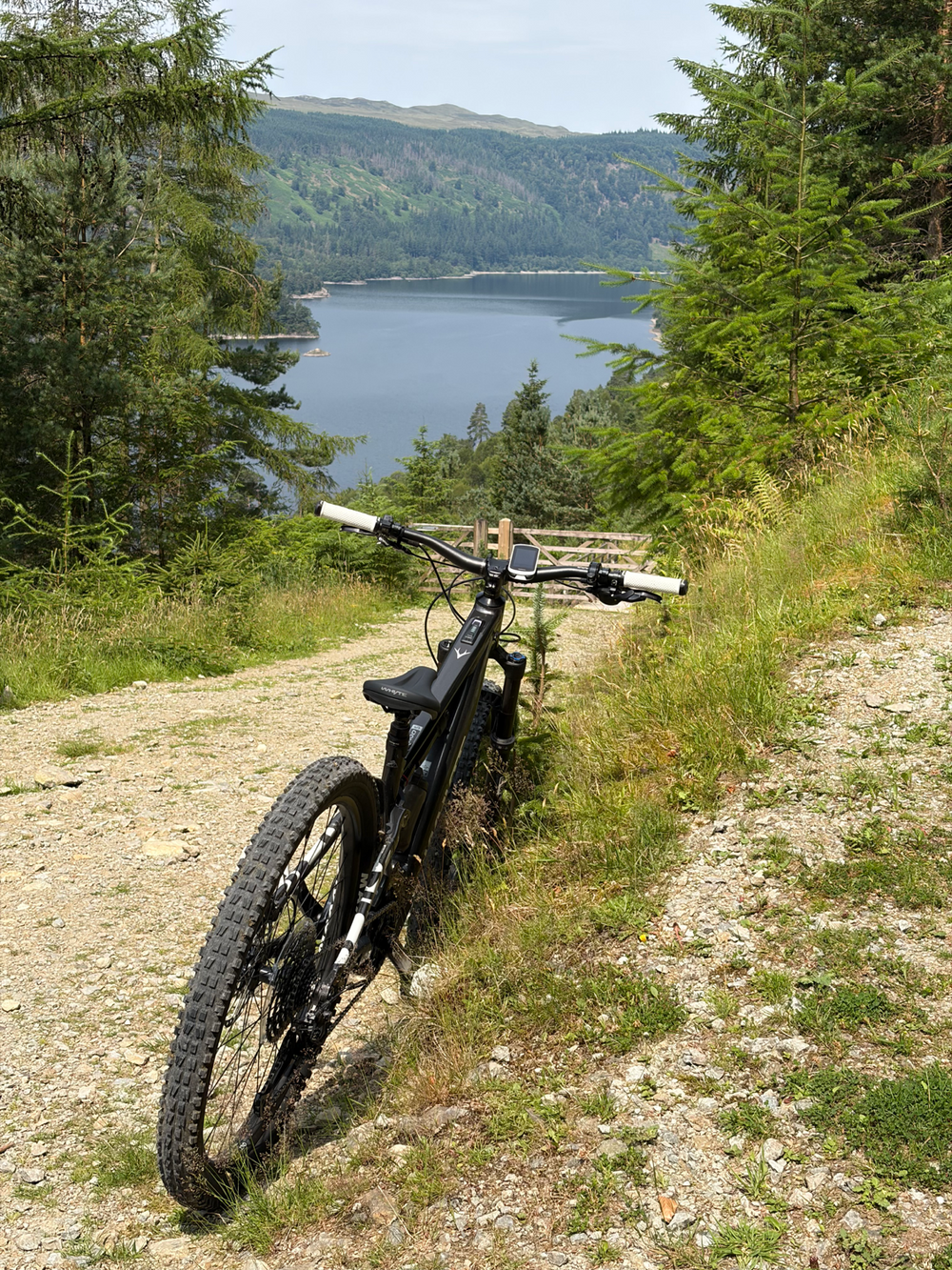 Whyte Kado S 2025