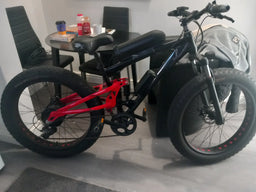 Curv-ve E-bike Curv-ve 2026