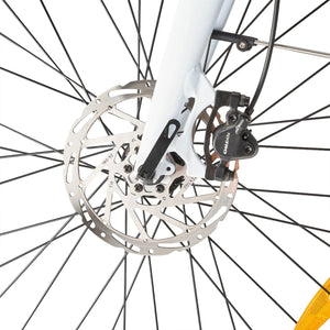 Hygge Lossø Commuter E-Bike
