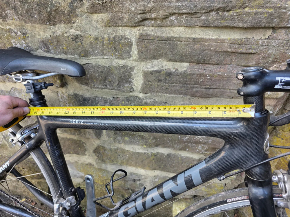 Giant TCR 2 2004