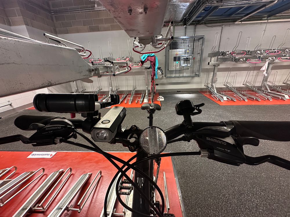 Trek FX 1 Disc 2022