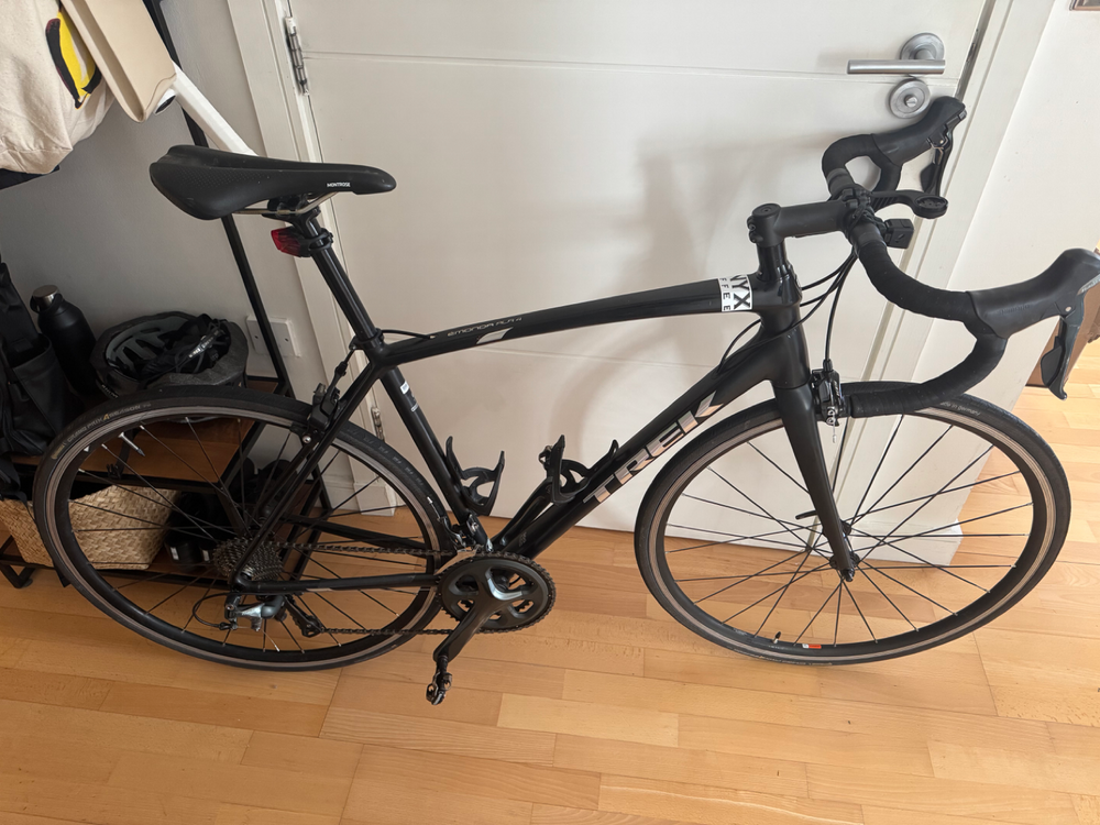 Trek Emonda ALR 4 2019