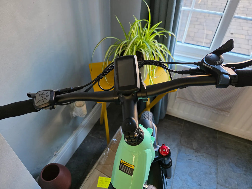 Crazybird Seta 2025