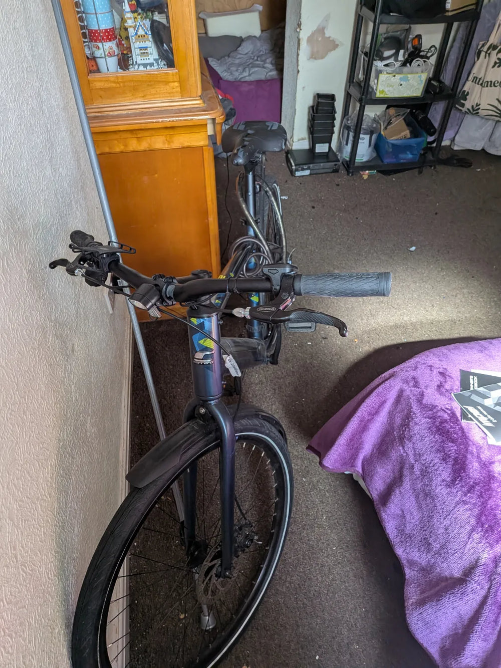 Carrera Impel Im 2.1 2021